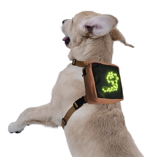 Hunde rygsæk med grønt lys